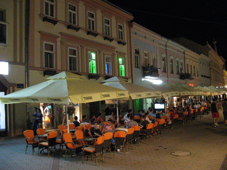 Dva psa - Two dogs 2